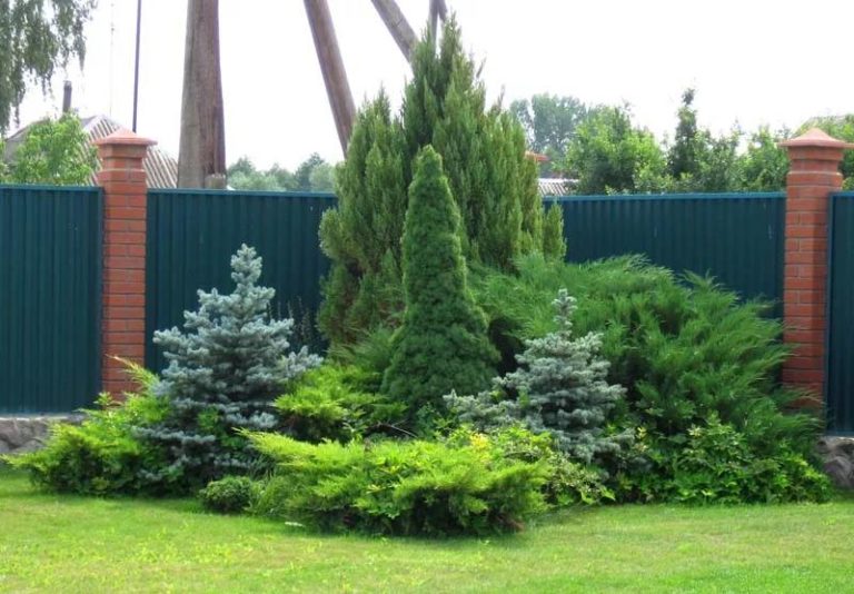 Для газона, кустарников и хвойных